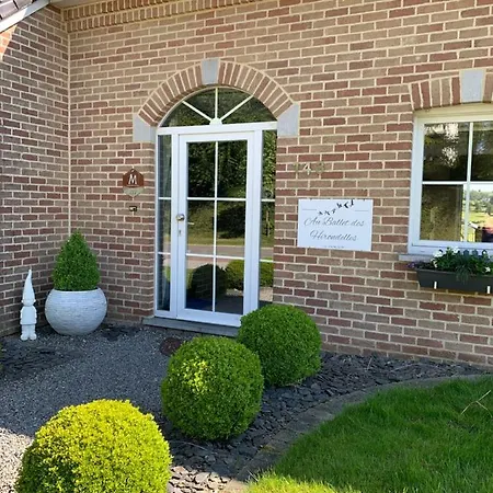 Au Ballet Des Hirondelles *