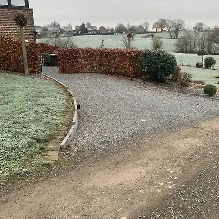 Au Ballet Des Hirondelles