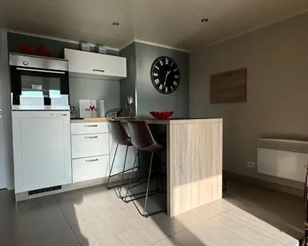 Au Ballet Des Hirondelles *