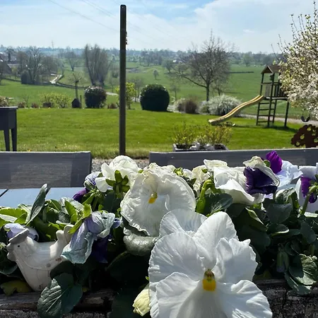 Дом отдыха Au Ballet Des Hirondelles Herve