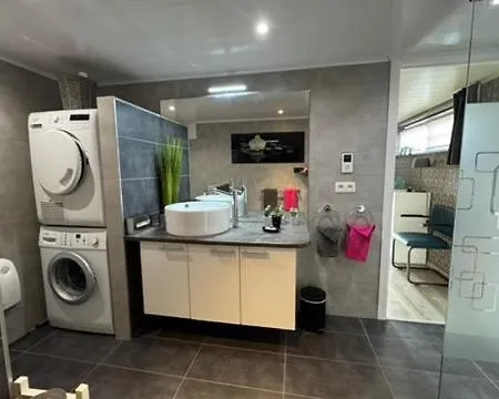 Au Ballet Des Hirondelles *