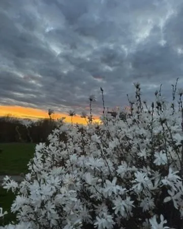 Au Ballet Des Hirondelles 別荘