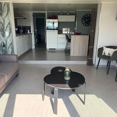 Au Ballet Des Hirondelles *