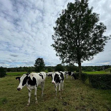 別荘 Au Ballet Des Hirondelles