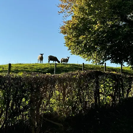 別荘 Au Ballet Des Hirondelles *