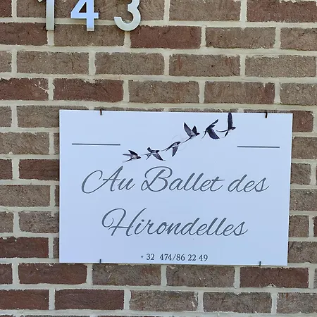 Au Ballet Des Hirondelles *