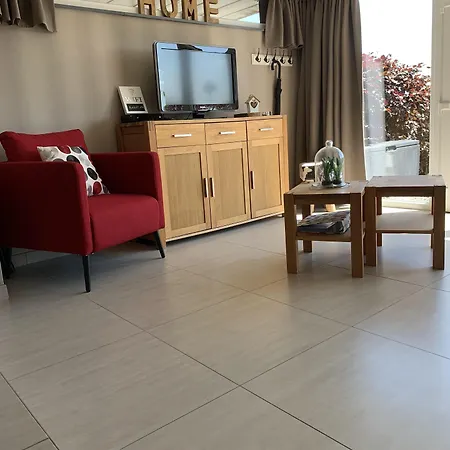 Au Ballet Des Hirondelles *