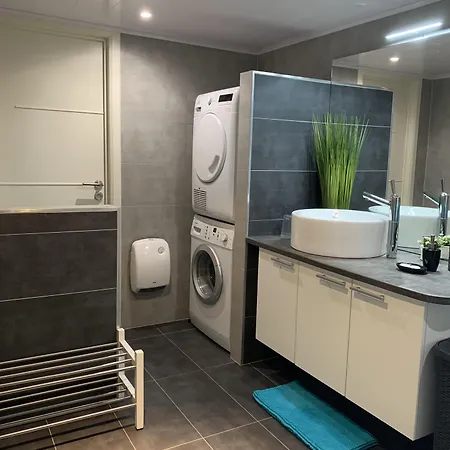 Au Ballet Des Hirondelles * Herve