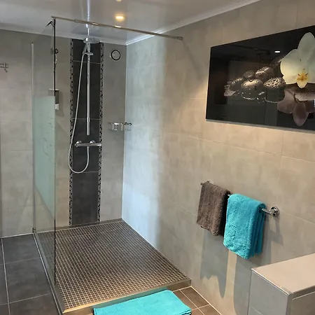 Au Ballet Des Hirondelles *