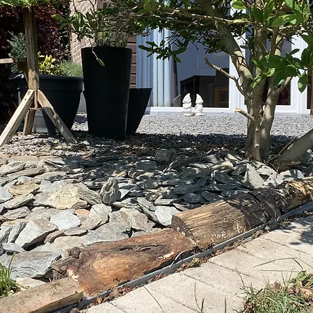 Au Ballet Des Hirondelles