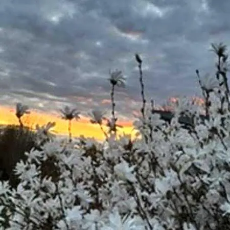 Au Ballet Des Hirondelles بيت للعطل *